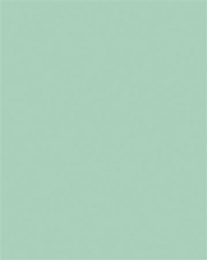 Dekoračný kartón, 2 stranný, 50x70 cm, 220 g, 10 listov, FOLIA, mätovo zelený