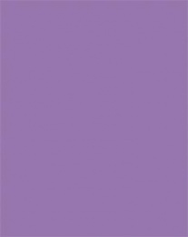 Dekoračný kartón, 2 stranný, 50x70 cm, 220 g, 10 listov, FOLIA, tmavý orgovánový