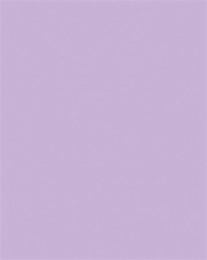 Dekoračný kartón, 2 stranný, 50x70 cm, 220 g, 10 listov, FOLIA, orgovánový